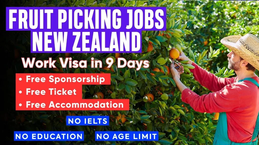 Select How to Get Fruit Picking Jobs in The UK How to Get Fruit Picking Jobs in The UK